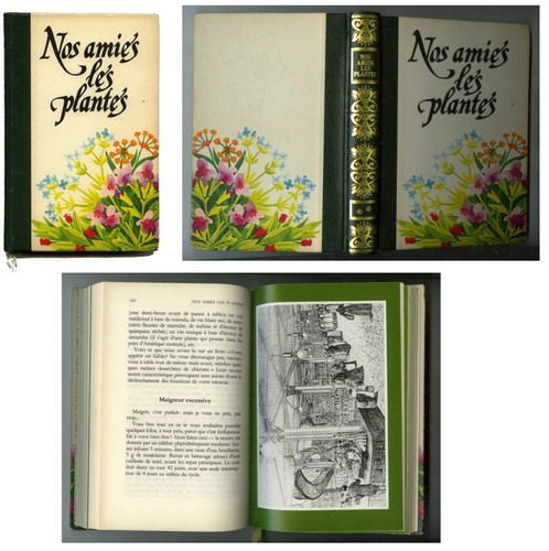 Livre nos amies les - livre,