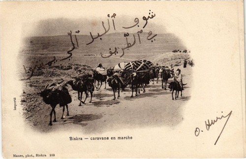 Cpa algeria biskra - cpa, caravane