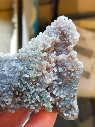 Belle agate grappe raisin - grappe,