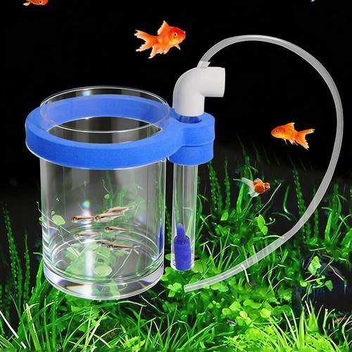 Boîte élevage poissons - boîte, de