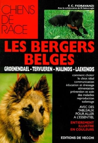 Les bergers belges - les,