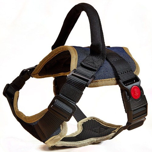 Pull dog harness - no,