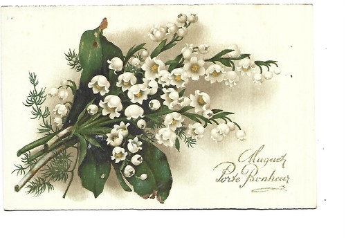 Illustration fleurs muguet - illustration,