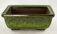 Rectangular Shohin Bonsai