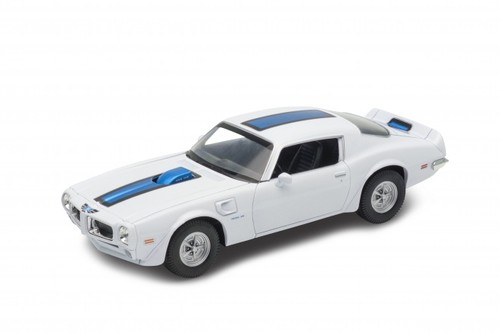 Pontiac firebird trans - pontiac,