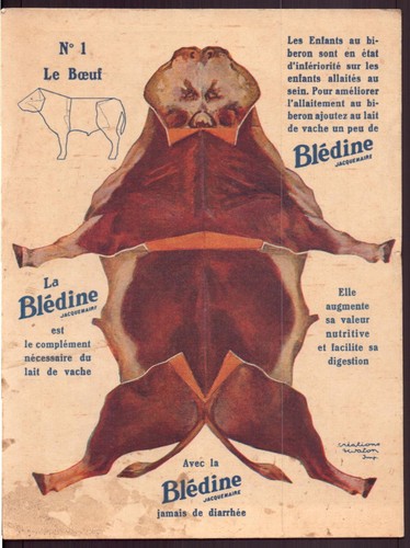 Chromo blédine le boeuf - ",