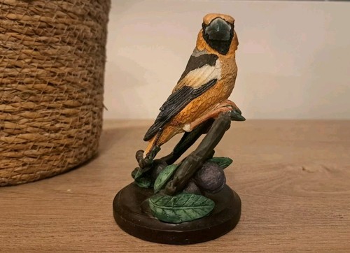 The country bird - bird, collection