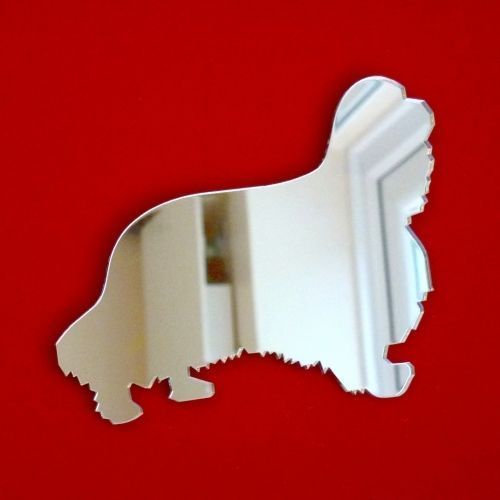 Miroirs forme king - miroirs,
