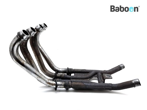 Set courbes échappement - courbes, d'échappement