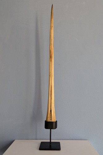 Kunstkammer wunderkammer - kunstkammer,,