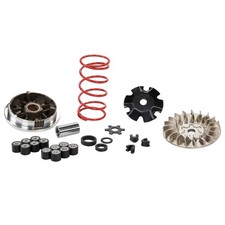 Variateur scoot malossi