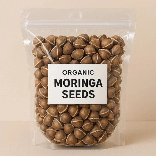 Graines moringa pour la - graines,