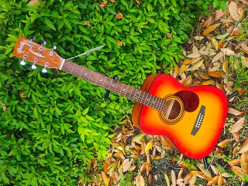 Modèle affichage guitare - modèle,