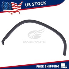 Rear Left Fender Trim Driver