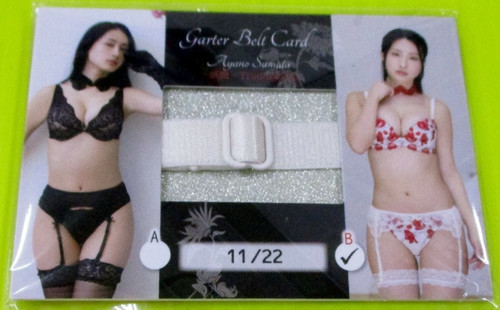 Carte ceinture
