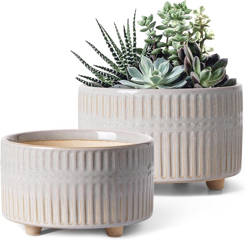 Pot plantes grasses 165 - pot,