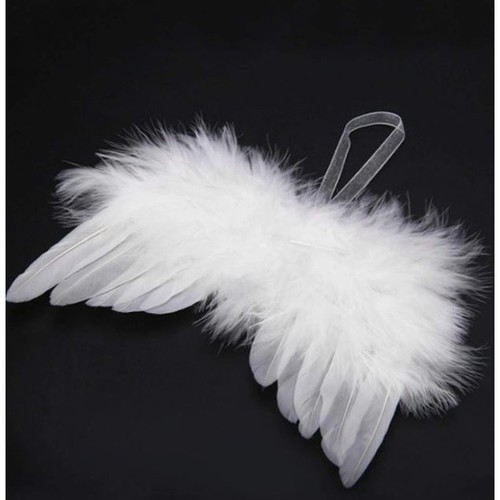 Aile ange plumes - aile, d'ange