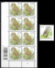 Belgique Oiseaux Hiboux Non