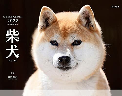 Calendrier mural shiba inu - shiba,