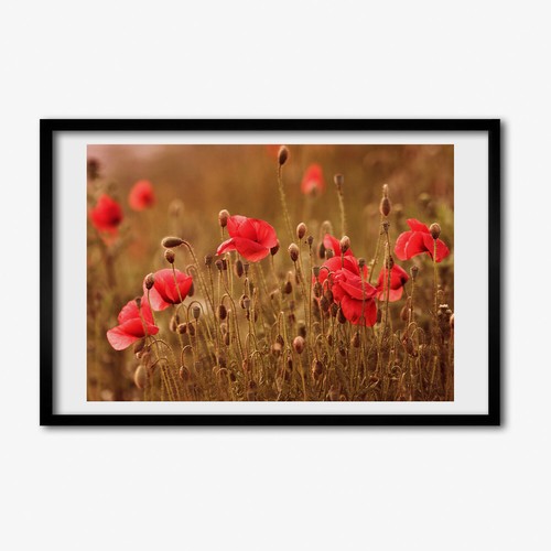 Tulup photo 60x40cm cadre - tulup, le