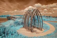 Nikon D40x Infrared converted 590nm IR Camera Body only Goldie Infrared 800 s/c