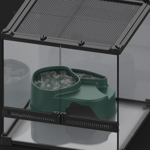 Pour reptiles petits - reptiles,
