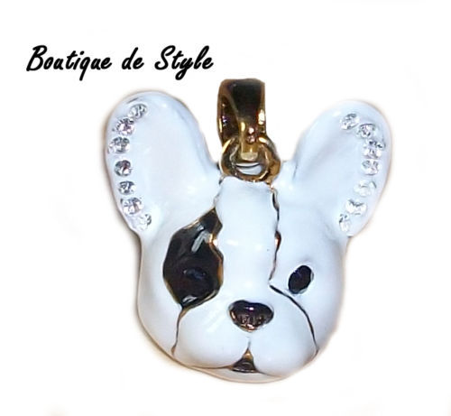 Bouledogue français frenchy - franÇais, "frenchy"