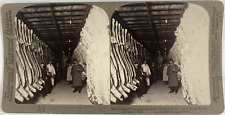 USA, Chicago, Union Stock Yards Cold Room, Vintage Print, ca.1900, Ster