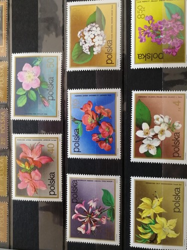 Timbres pologne neufs - timbres,