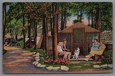 Postcard MI Beach Camp Grounds Port Huron Michigan Classic Cars Family & Dog C8