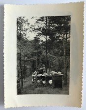 ANTIQUE PHOTO - VINTAGE SNAPSHOT - BEEKEEPING HONEY BEE BEE - BEEKEEPING 1
