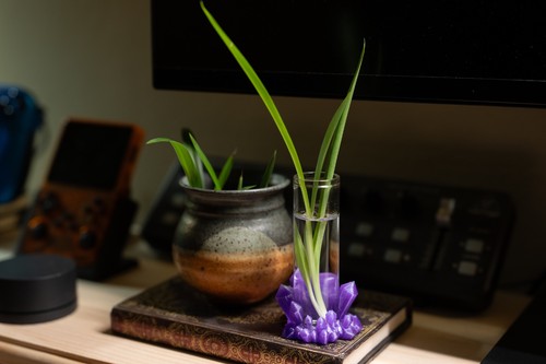 Crystal plant jar terrarium - crystal, jar: