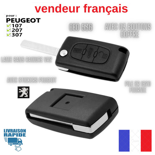 Coque boitier clé - coque/boitier,