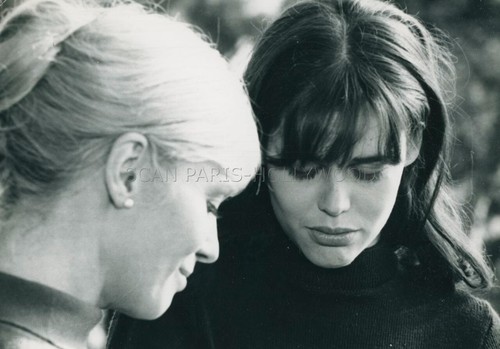 Ingrid thulin sylvie fennec - ingrid,