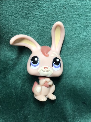 Petshop lapin garenne - 🌺petshop,