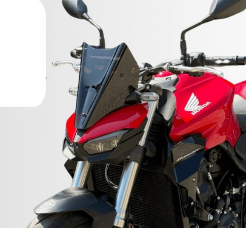 1000 hornet saute - -,