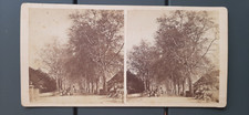 Photo Stéréo circa 1880