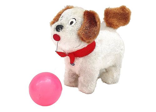 Chien terrier ballon - terrier,