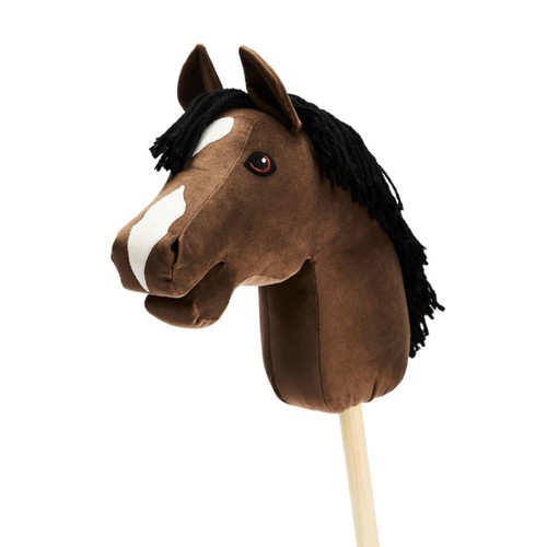 Hobby cheval poney à - poney,
