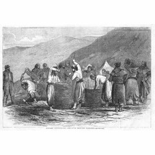 CRIMEAN WAR Zouaves making Gabions at Sevastopol - Antique Print 1855