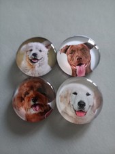 4 Magnets Frigo, Chien