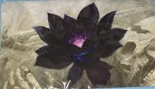 Magic : tapis de jeu en