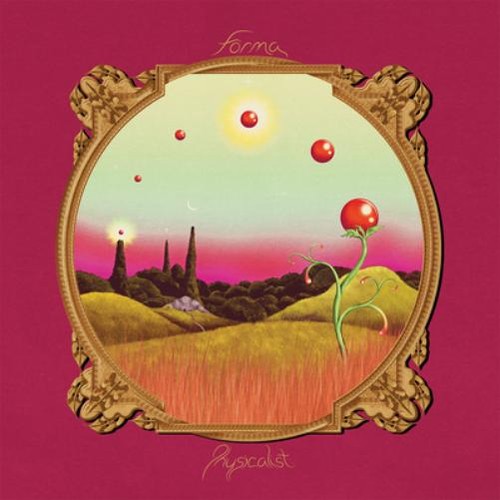 Forma physicalist - (vinyl), 12"