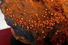 》》Rare Wulfénite d'Australie《《