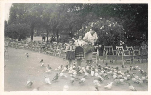 Ancienne photographie 1951 sur - photographie,