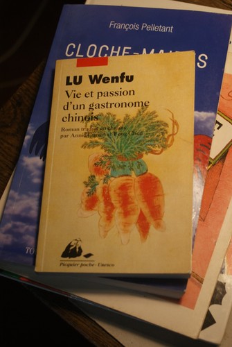 Wenfu vie passion d un - wenfu/,