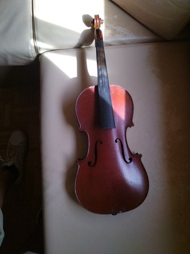 Violon acoustique avec