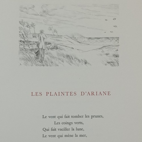 Noailles ombre des - l'ombre,