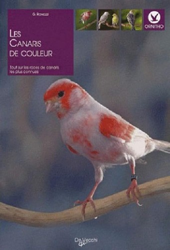Les canaris couleurs - les,