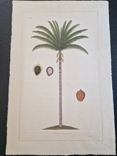 Roche laffitte aquarelle - la,